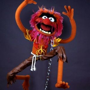 Meet your Posher, Peter